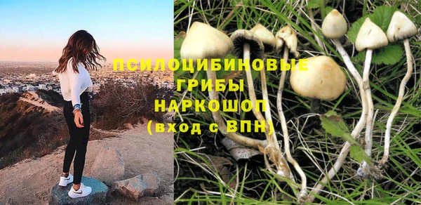 Альфа ПВП Верхнеуральск