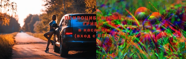 apvp Верхний Тагил