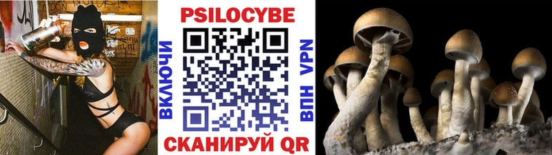 Галлюциногенные грибы GOLDEN TEACHER  МЕГА ONION  Вытегра 