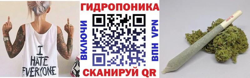 Шишки марихуана OG Kush  omg ССЫЛКА  Вытегра 